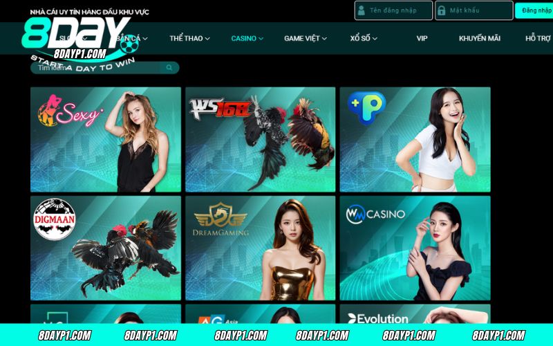 Tìm hiểu thông tin cơ bản về Live Casino 8DAY